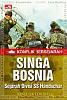 Click image for larger version

Name:	singa bosnia.jpg
Views:	120
Size:	82.0 KB
ID:	162184