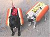 Click image for larger version

Name:	2hotdogs.jpg
Views:	94
Size:	27.7 KB
ID:	445