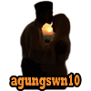 agungswn10's Avatar